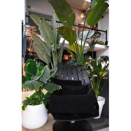 Cushion 3D Crocodile 30x70cm Velvet Black
